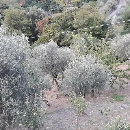 Pensjonat Patrizia La Spezia