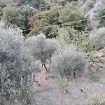 Gæstehus Patrizia La Spezia