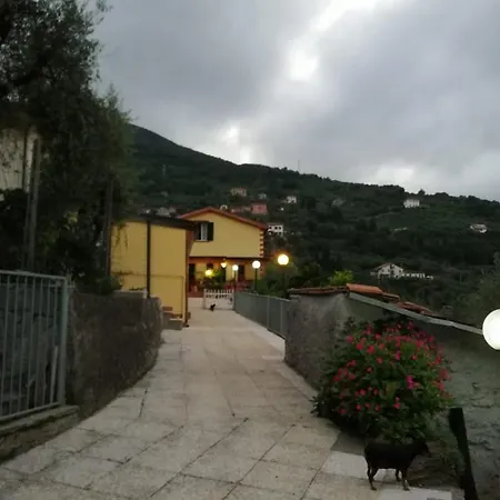 Patrizia *