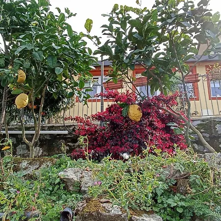 Patrizia Maison d'hôtes La Spezia