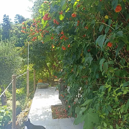 Patrizia 3* La Spezia