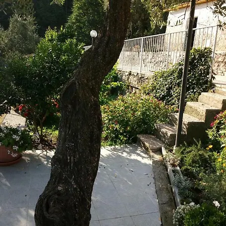 Patrizia Guest house 3*